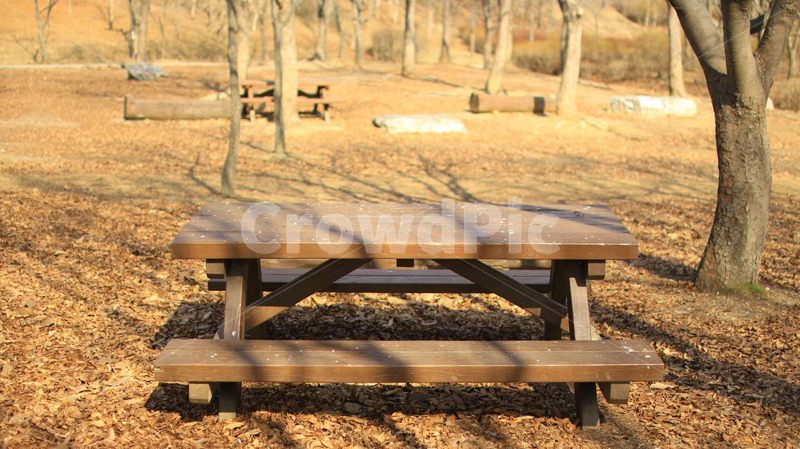 탁자,공원,테이블,가을,공원의자,공원탁자,가을분위기,나무,나무의자,bench,wood
