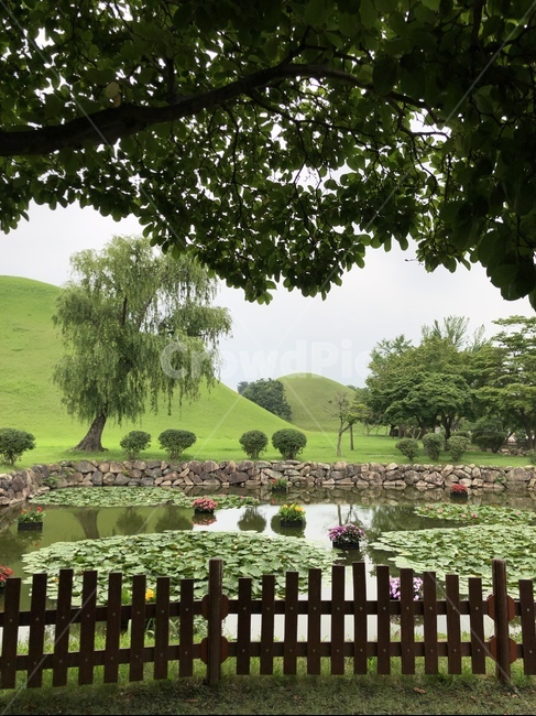 outdoors,옥외,풍경,자연,경주