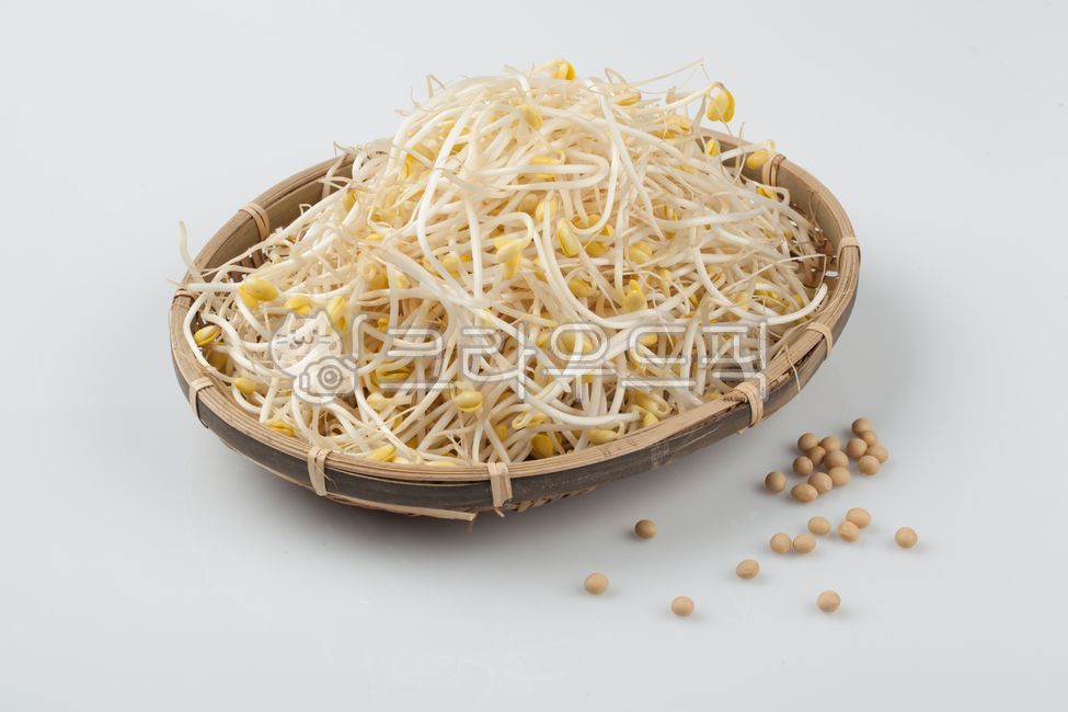 콩나물,나물,콩나물무침,무침,채소,야채,채식,날것,양념,음식,식사,식품,식료품,재료,식재료,음식재료,클로즈업,고소한,한국음식,한국문화,요리