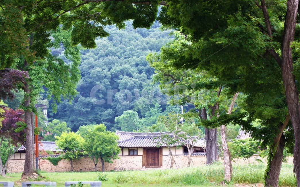 한옥,고택,정원,꽃,나무