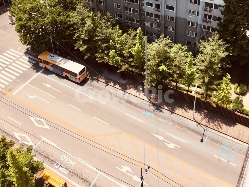 버스정류장,도로,일상,아파트앞,종점,street,오후,tree,햇빛,여름날씨,bus,busstop,시내버스,laststop,daliy,apartment,sunshine,summer,weather,citybus,교통,교통수단,traffic,transportation