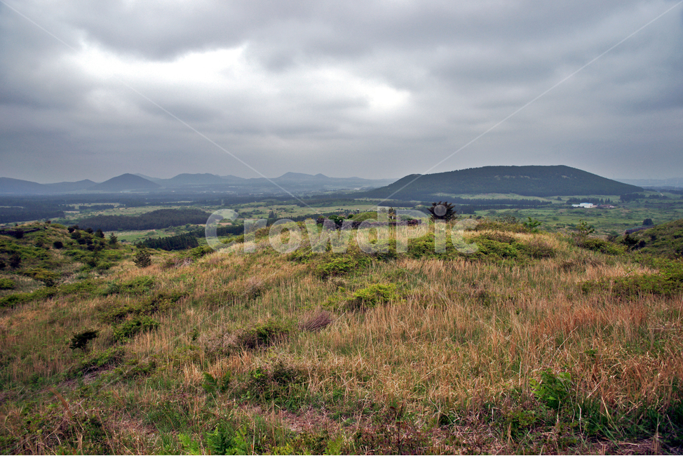 갑마장길,제주도,표선면,가시리,트레일,오름,따라비오름,자연,풍경,nature,landscape,제주도,jeju,jeju island