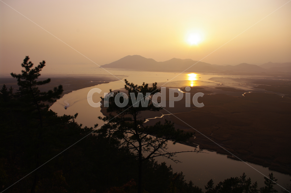 순천만,일몰,석양,노을,풍경,갈대밭,자연,풍경,nature,landscape,한국자연풍경,한국자연경관,korea nature landscape,light,빛,flare,플레어,sunlight,햇빛,outdoors,옥외,dawn,새벽,sky,하늘,red sky,붉은 하늘,sunset,dusk,황혼