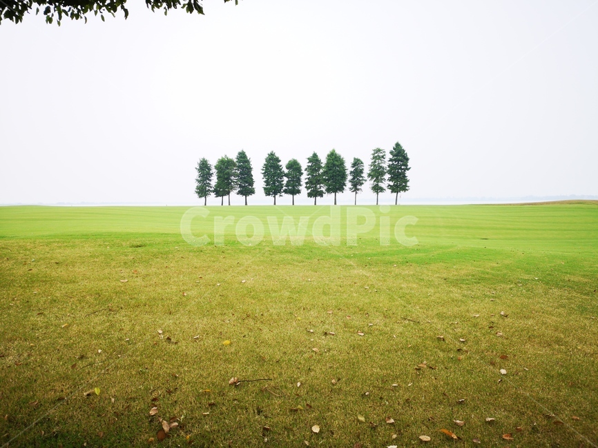 골프장,나무,숲,잔디,풍경,잔디밭,배경,아름다운,조용한,자연,풍경,nature,landscape,grass,plant,식물