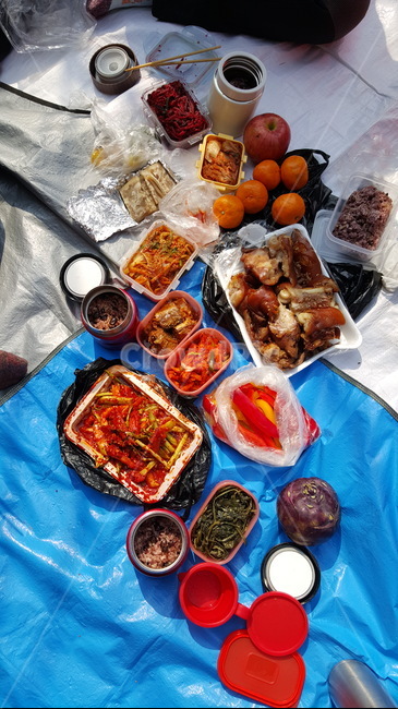 소풍,음식,나들이,피크닉,점심,옹기종기,족발,식사,도시락,등산도시락,소풍도시락,반찬,간식,사괴,귤,콜라비,먹거리,식도락,돗자리,김치,물통,보온병,음식,식재료,요리,food,cook,meal,dishes,food reserves