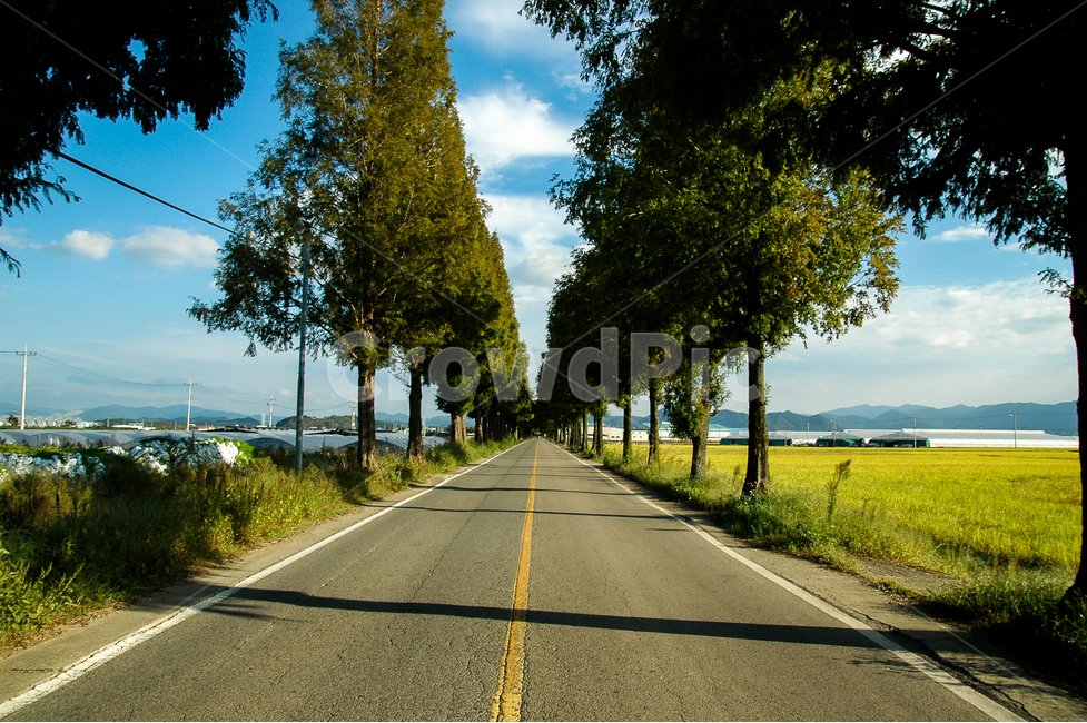 풍경,자연,구름,하늘,가을,자연,풍경,nature,landscape,한국자연풍경,한국자연경관,korea nature landscape,시골,마을,country,rural,town,road,도로,asphalt,아스팔트,highway,고속도로,freeway,고속 도로