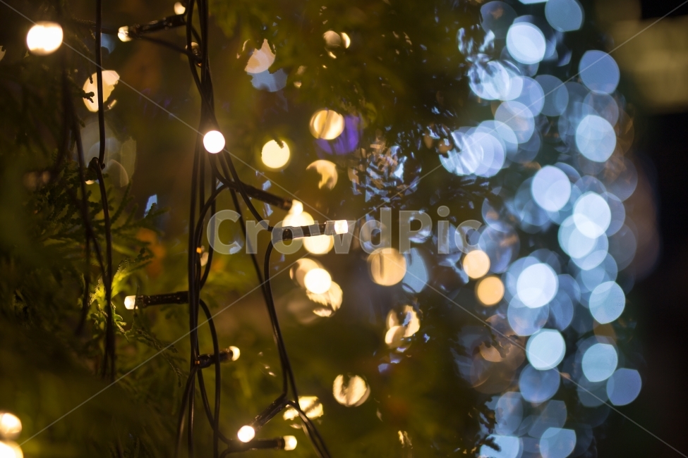 감성,스냅,보케,전구,빛,야경,풍경,야경,밤,풍경,nightscape,night,landscape,감성,sensible,feeling,light,flare,플레어,lighting,조명