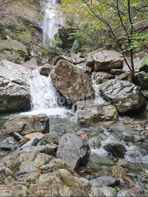 물,폭포,자연,강,물줄기,자연,풍경,nature,landscape