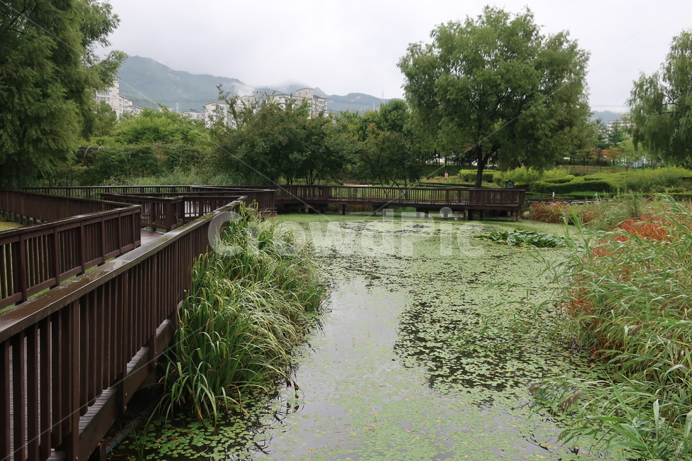 서울,창포원,식물원,도시,공원,습지,조성,숲,산책,산책로,자연,풍경,nature,landscape,water,물,outdoors,옥외,building,건물