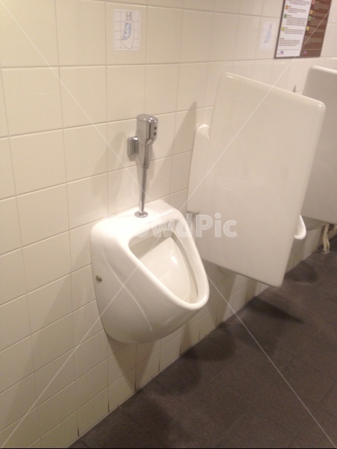화장실,소변시,공중화장실,toilet,bathroom,변소