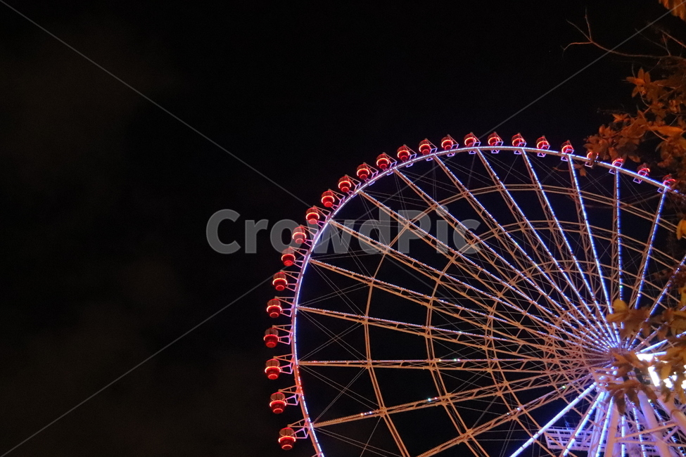 대관람차,관람차,밤,놀이공원,조명,불빛,원,전경,야경,밤,풍경,nightscape,night,landscape,놀이공원,놀이동산,놀이터,amusement park,playground