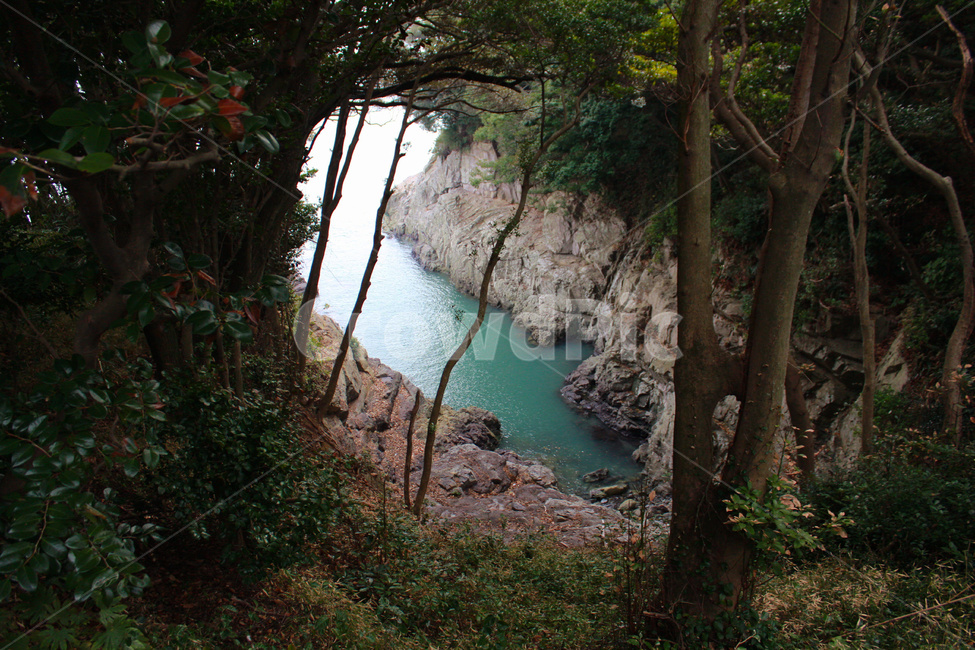 오동도,바다,나무,산,풀