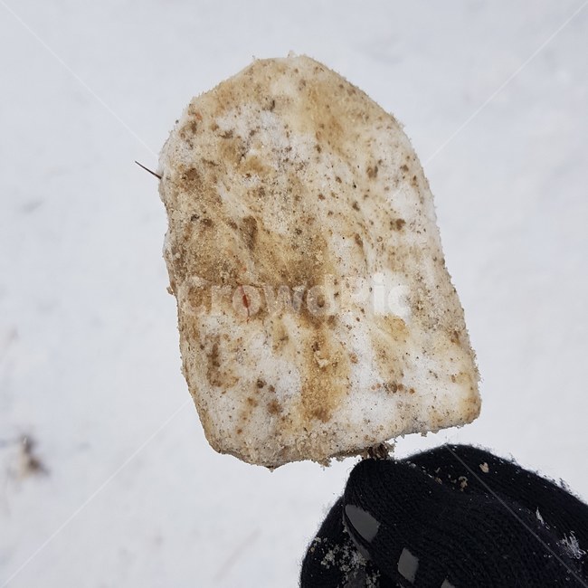 아이스크림,눈,눈장난,겨울,인절미,겨울,계절,winter,season