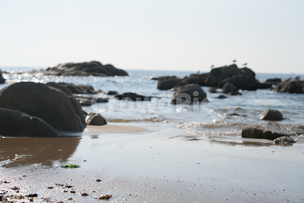 바다,바닷가,해변,바위,파도,경치,풍경,자연,물,sea,여름