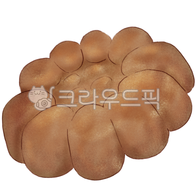 Yakgwa,tradition,illustration,traditional sweets,mini yakgwa