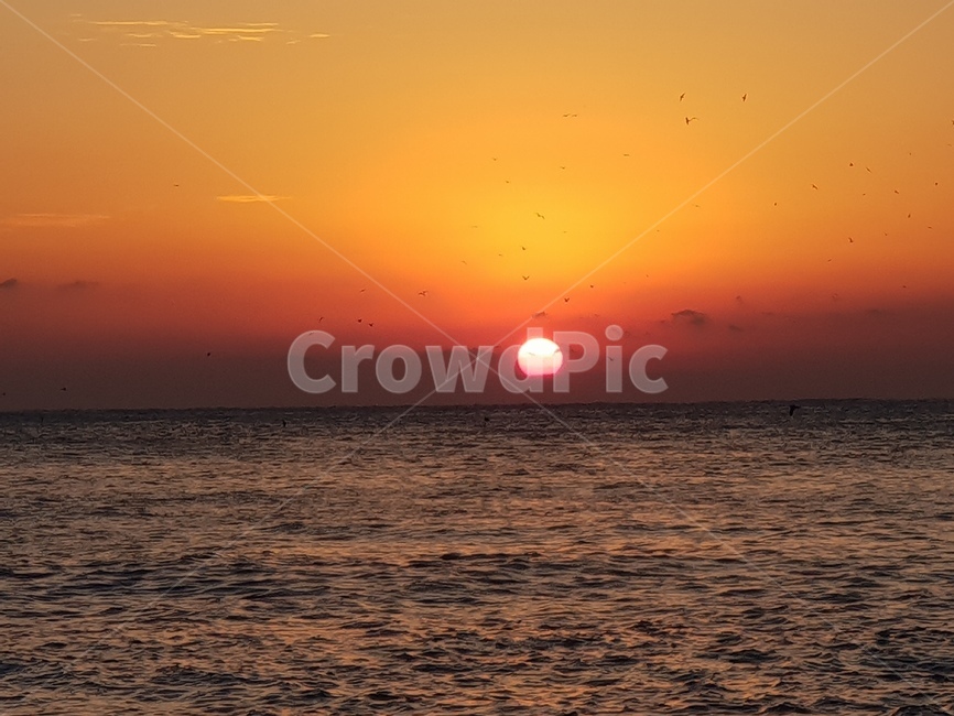 일출,바다일출,새해,해돋이,신년,자연,풍경,nature,landscape,outdoors,옥외,sunlight,햇빛,dawn,새벽,red sky,붉은 하늘,sunset,일몰,sky,하늘,dusk,황혼