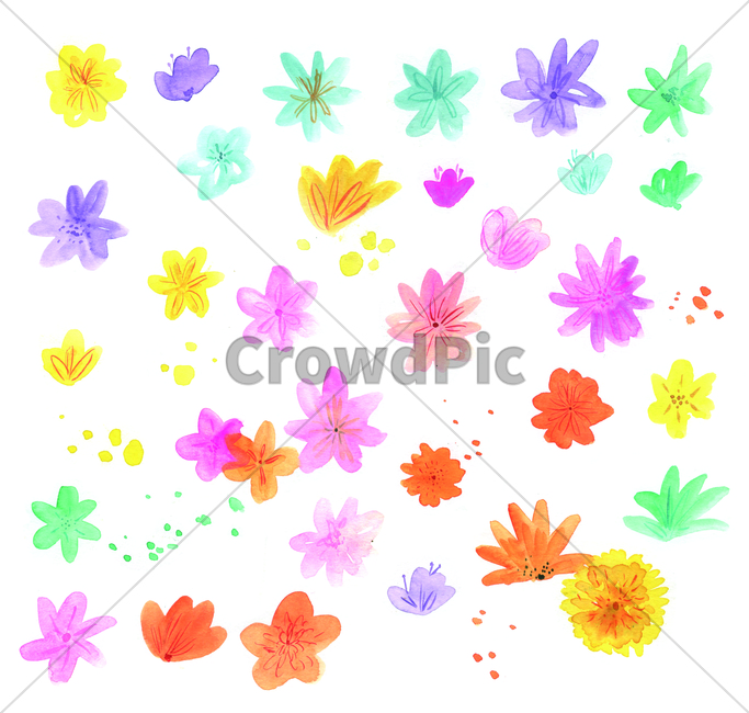 blossom,umbrage,hand drawing,leaf,branch,flower,handdrawing,bough,foliage,paint painting,watercolor,bloom,twig,sprig