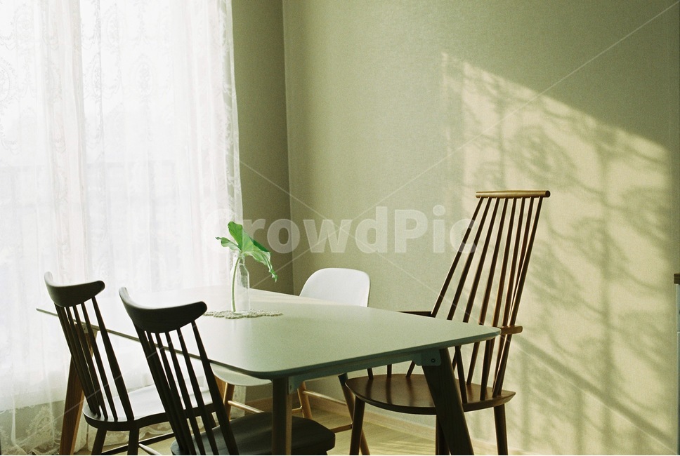필름,필름카메라,녹색,식탁,식물,화병,따뜻함,햇살,감성,감성,sensible,feeling,인테리어,실내디자인,interior design