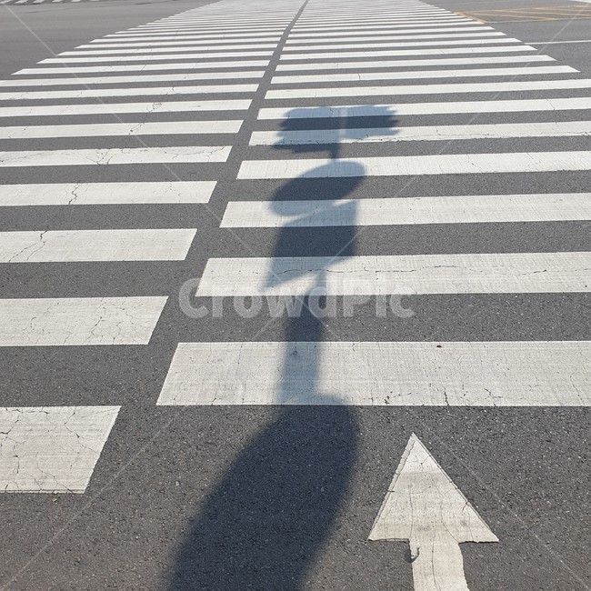 아스팔트,road,도로,화살표,신호등,횡단보도,그림자,표시판,빨간불,파란불