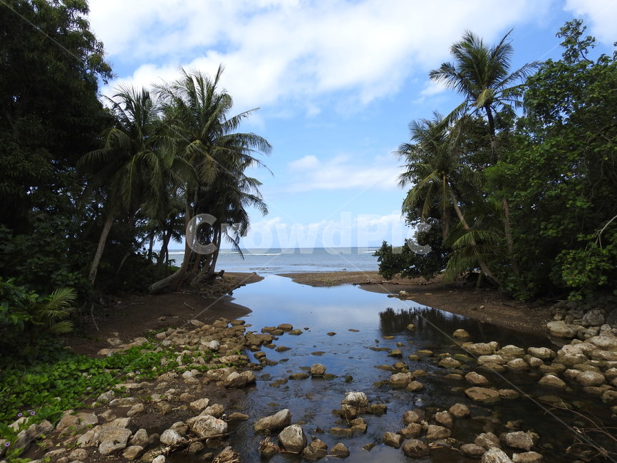 괌,탈리팍다리,guam,taleyfac,바다