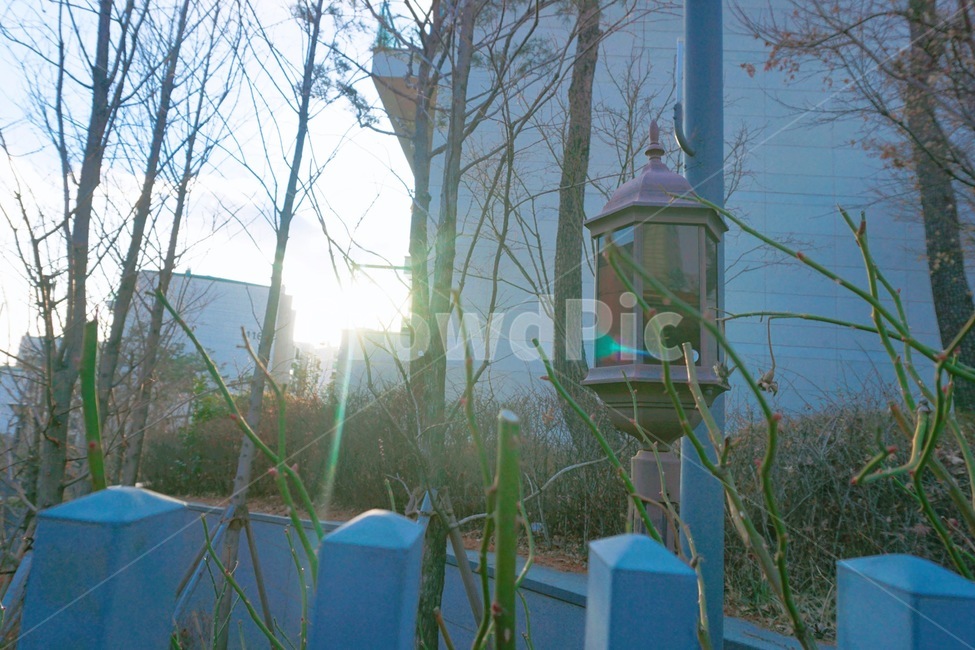 light,빛,flare,자연광,분위기,플레어,예쁜빛,자연빛,눈부심