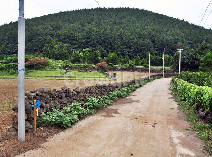 저지마을,제주,올레14코스,올레길,돌담,도로,오름,제주도,jeju,jeju island,outdoors,옥외,nature,자연,soil,흙