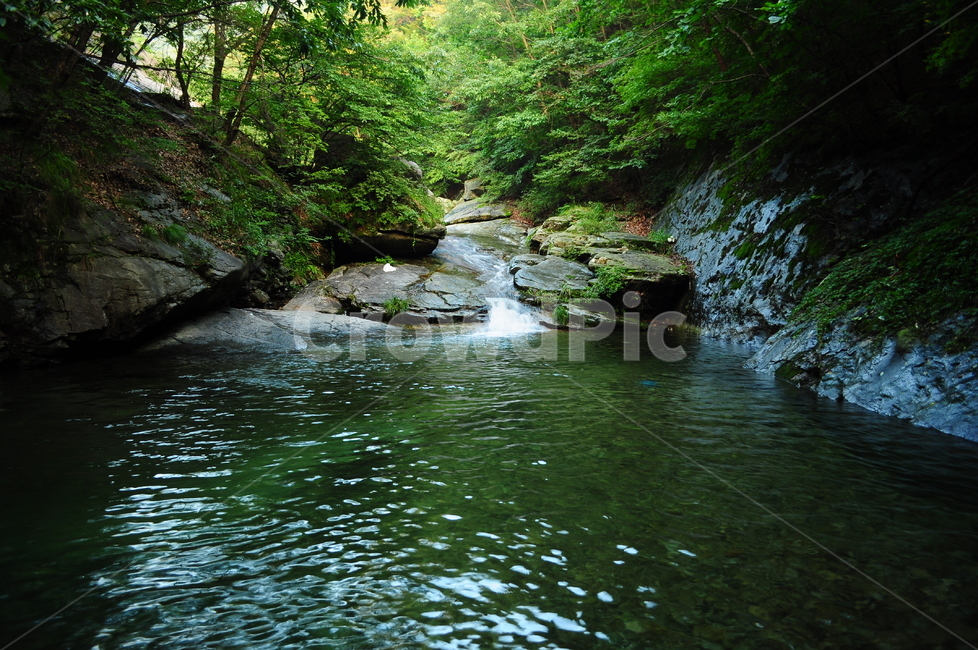 계곡,물,물놀이,산,산속,바위,나무,여름,계절,summer,season,자연,풍경,nature,landscape,water,outdoors,옥외,creek,작은 만,stream,흐름
