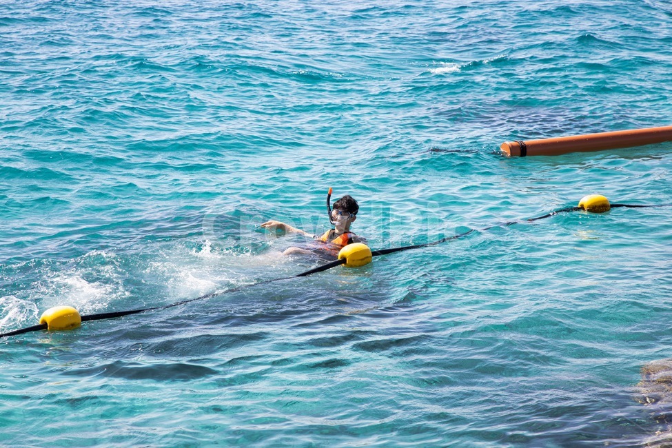 홍해,바다,이스라엘,수영,스노쿨링,redsea,sea,광야,바닷물