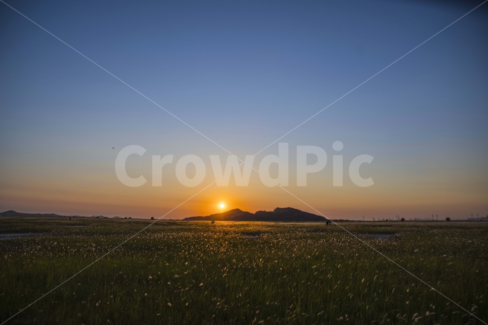 풍경,노을,저녁,수섬,출사,삘기꽃,백묘화,자연,풍경,nature,landscape,outdoors,옥외,sky,하늘