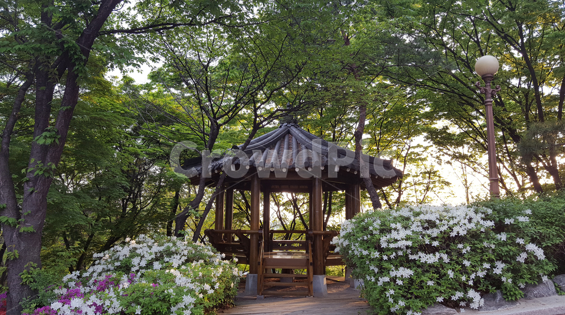 정자,꽃,자연,쉼터,휴식,여름,pavilion,flowers,nature,restarea,relaxation,summer