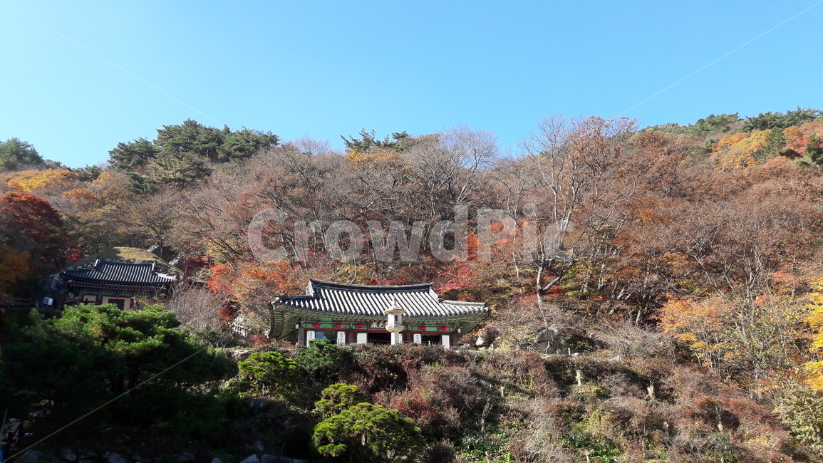 경주,토함산,단풍,석굴암,가을,한국전통,한국문화,korean traditional,korean culture,건축물,건물외관,exterior,building,structure,architecture,construction