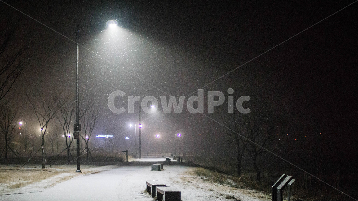 야경,가로등,산책로,눈,밤,벤치,겨울,계절,winter,season,야경,밤,풍경,nightscape,night,landscape,nature,자연,outdoors,옥외