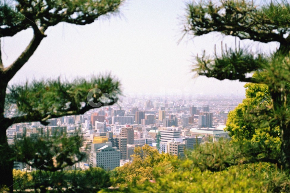 도시,전경,경치,필름,일본,도시,풍경,city,landscape,해외,외국,세계,foreign,oversea,world,세계도시풍경,해외도시풍경,외국도시풍경,world cityscape,감성,sensible,feeling,outdoors,옥외,tree,나무,plant,식물,nature,자연,urban,어반