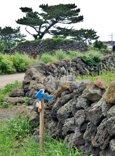 제주,올레19코스,올레길,조천농로,화살표,정방향,역방향,돌담,자연,풍경,nature,landscape,제주도,jeju,jeju island,wall,벽,stone wall