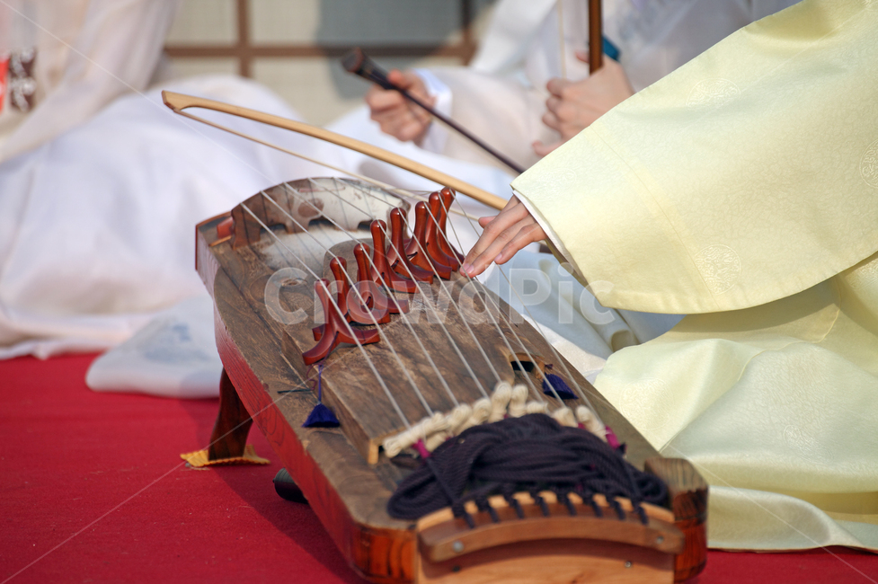 play,string instrument,Gayageum,instrument,Korean musical instrument,traditional culture,Korean traditional music,korea,music,folklore,culture,Han bok,tradition,Korean tradition