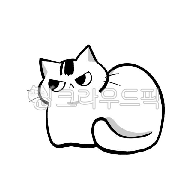 Meow,albino,cat,cheeky,cute