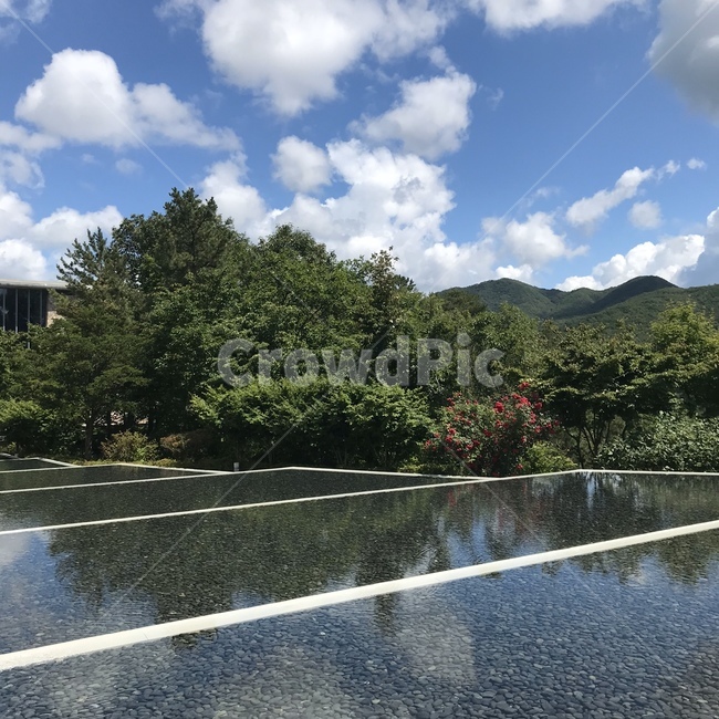 outdoors,옥외,구름,나무,하늘,물