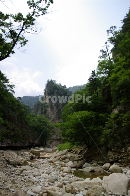 산,계곡,바위,암석,풍경,나무,설악산,자연,풍경,nature,landscape,outdoors,옥외,water,물