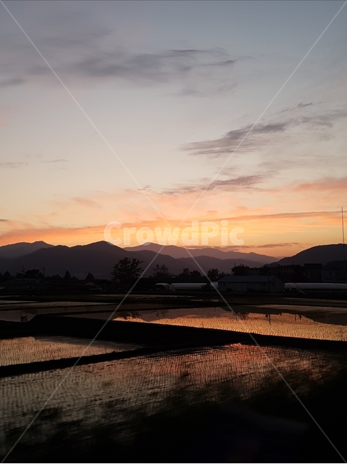 노을,하늘,석양,일몰,해넘이,일출,해돋이,역광,sunset,sky,논,밭,농촌,풍경,landscape,구름,산업,industry,industrial,농업,농사,agriculture,farming,farming industry