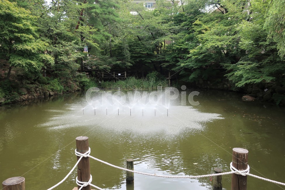 서울대,서울대학교,캠퍼스,호수,자하연,연못,휴식,쉼터,투어,코스,자연,풍경,nature,landscape,water,물