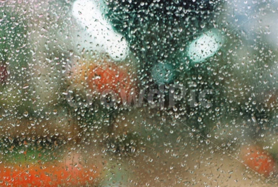 감성,겨울철,물방울,스냅,아날로그,Nikon,Fm2,필름,필름카메라,비,비오는날,rain,rainy,감성,sensible,feeling