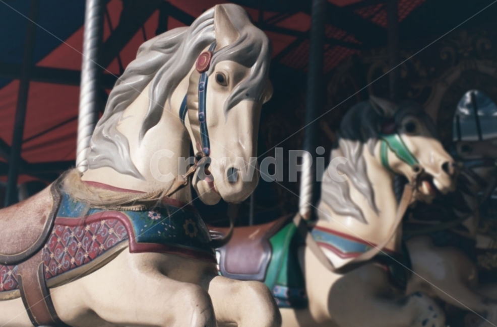 필름사진,놀이공원,회전목마,일상,감성,추억,말,놀이공원,놀이동산,놀이터,amusement park,playground,감성,sensible,feeling