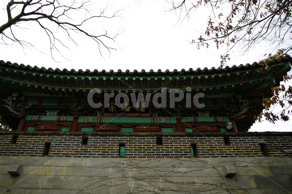 한국,전통,건축,단청,지붕,한국전통,한국문화,korean traditional,korean culture,건축물,건물외관,exterior,building,structure,architecture,construction