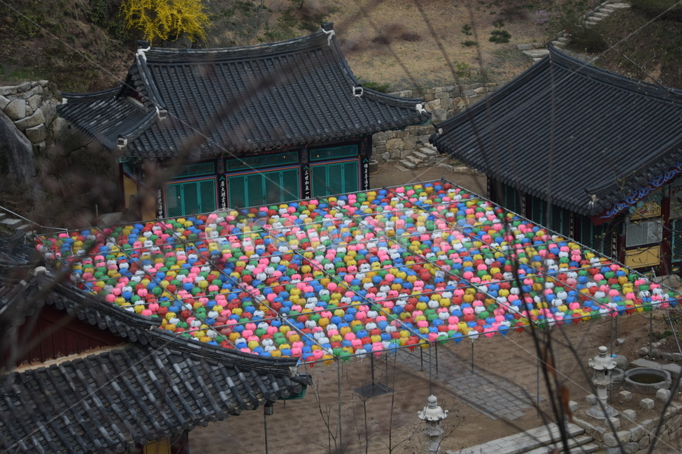 영월암,설봉공원,연등,사찰,절,한국전통,한국문화,korean traditional,korean culture,종교,신앙,religion,belief,faith,축제,행사,festival,carnival,event