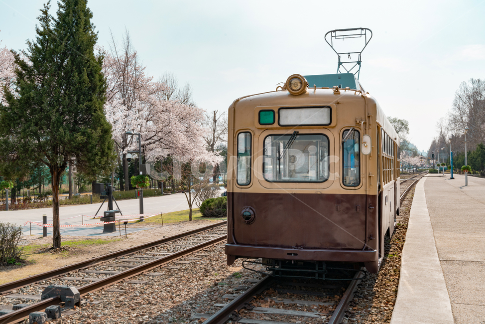 기차,열차,교통,트램,기차역,빈티지,화랑대,화랑대역,봄,train,transportation,tram,station,vintage,복고,교통,교통수단,traffic,transportation