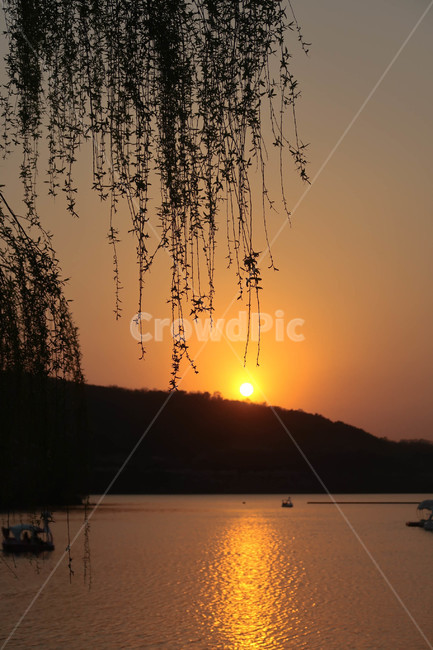 노을,풍경,강,석양,일몰,자연,자연,풍경,nature,landscape,outdoors,옥외,tree,나무,plant,식물
