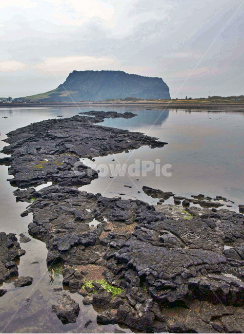 성산일출봉,내수면,늪지대,올레2코스,제주,서귀포시,보,둑,자연,풍경,nature,landscape,한국자연풍경,한국자연경관,korea nature landscape,제주도,jeju,jeju island,outdoors,옥외,land,땅,water,물,shoreline,해안선,sea,바다,ocean,대양,coast,연안