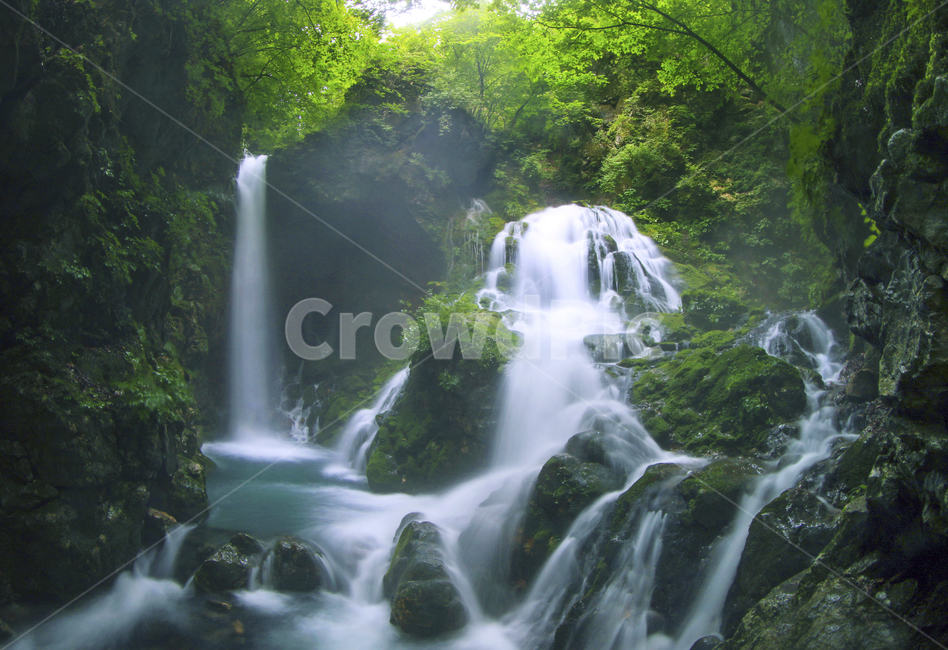 강원도,삼척,무건리,이끼폭포,아끼,물흐름,경치,경관,풍경,water,물,nature,자연,outdoors,옥외,waterfall,폭포,자연,풍경,nature,landscape