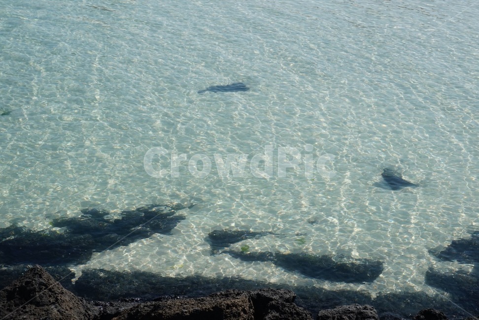 해변,바다,beach,ocean,summer,감성,제주