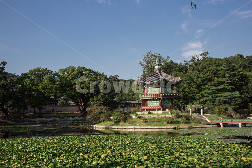 경복궁,향원정,건축물,건물,architecture,한국전통,한국문화,korean traditional,korean culture,건축물,건물외관,exterior,building,structure,architecture,construction